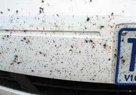 bacteria & fungi removal bacteria & fungi removal